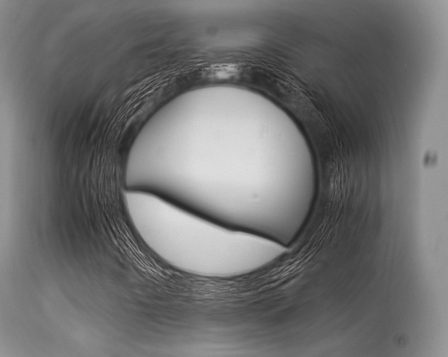 X0000113541442200909181012
