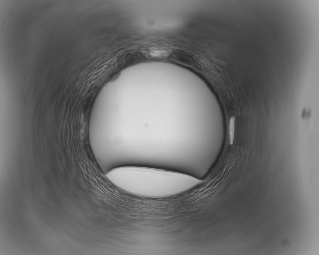 X0000113541443200909181012