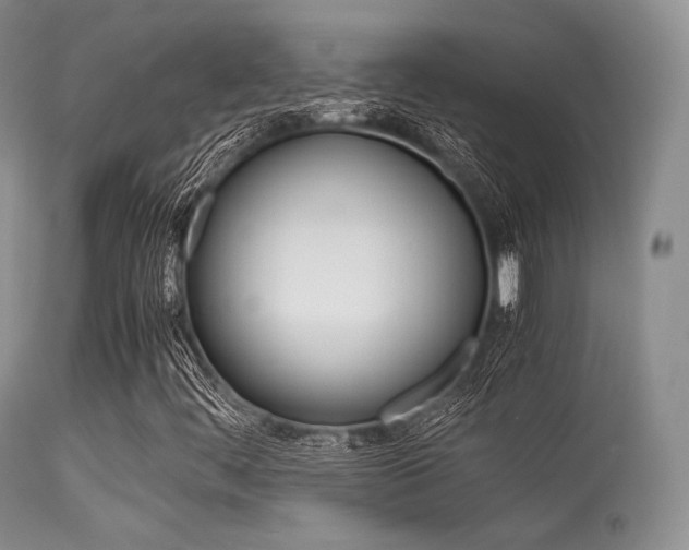 X0000113541444200909181012