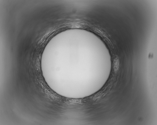X0000113541446200909181012