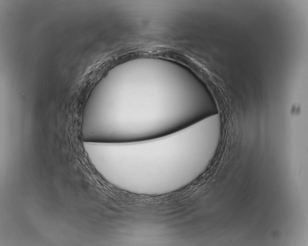 X0000113541447200909181012