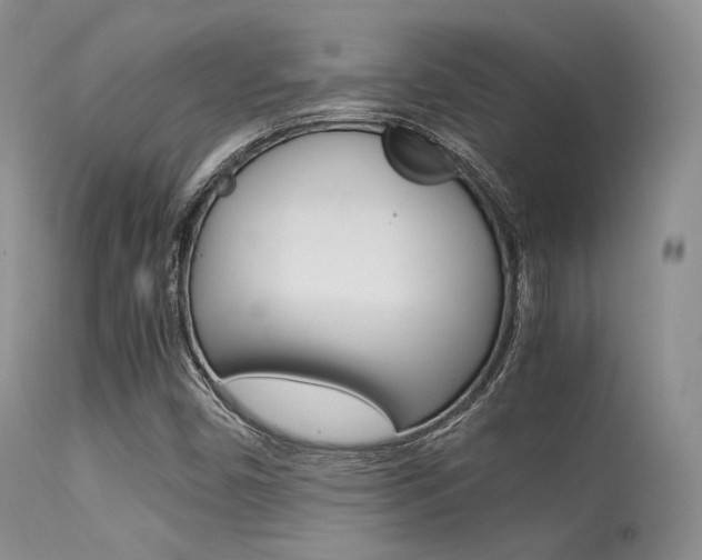 X0000113541450200909181012