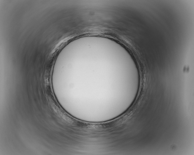X0000113541451200909181012