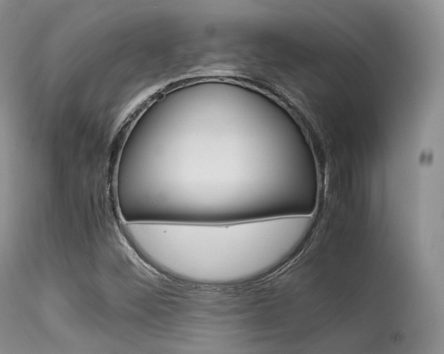X0000113541452200909181012