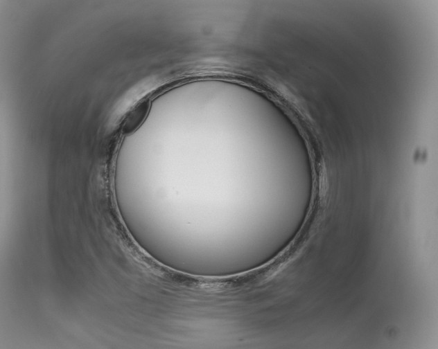 X0000113541453200909181012