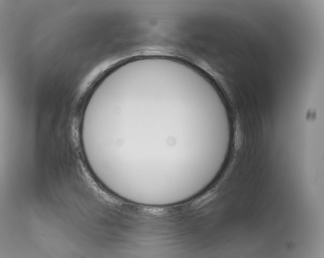 X0000113541454200909181012
