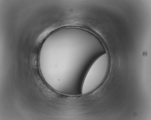 X0000113541455200909181012