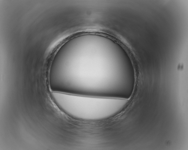X0000113541456200909181012