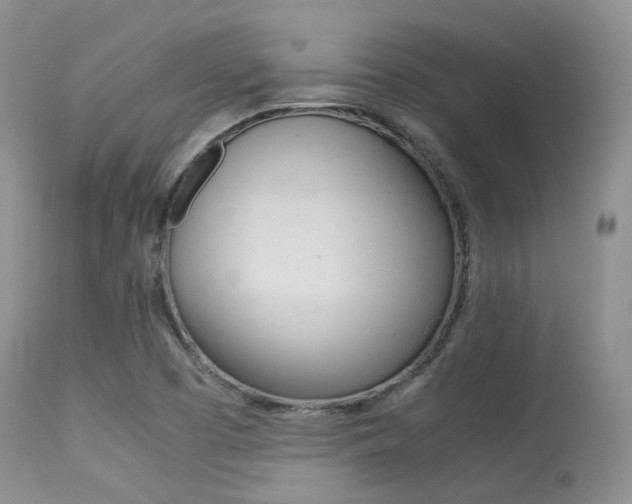 X0000113541457200909181012