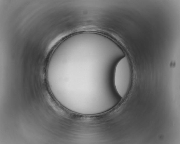 X0000113541458200909181012