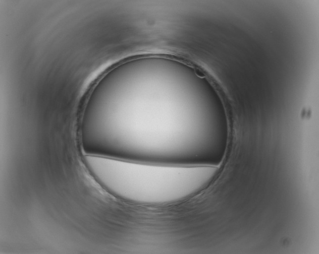 X0000113541460200909181012