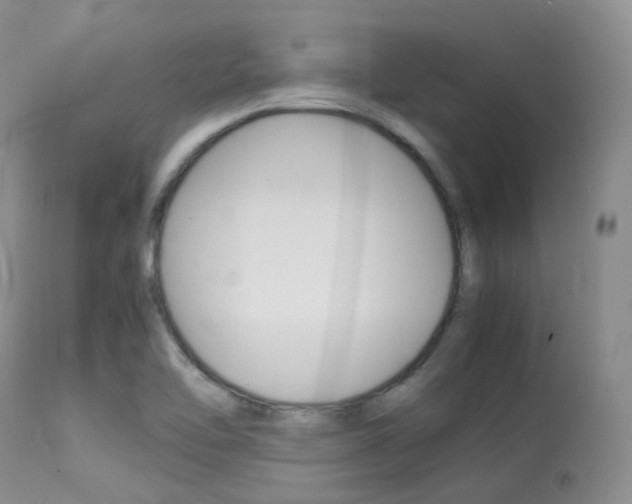 X0000113541462200909181012