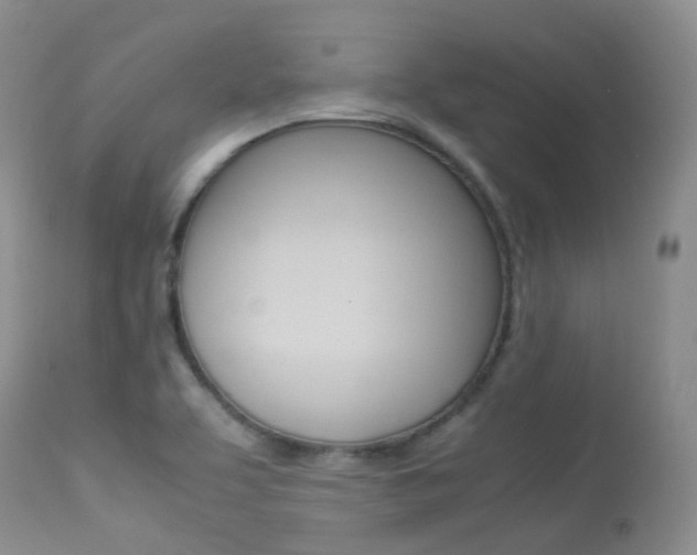X0000113541463200909181012