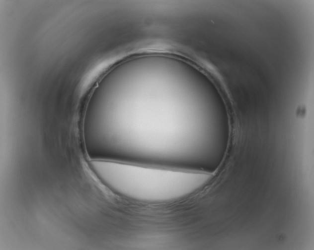 X0000113541464200909181012