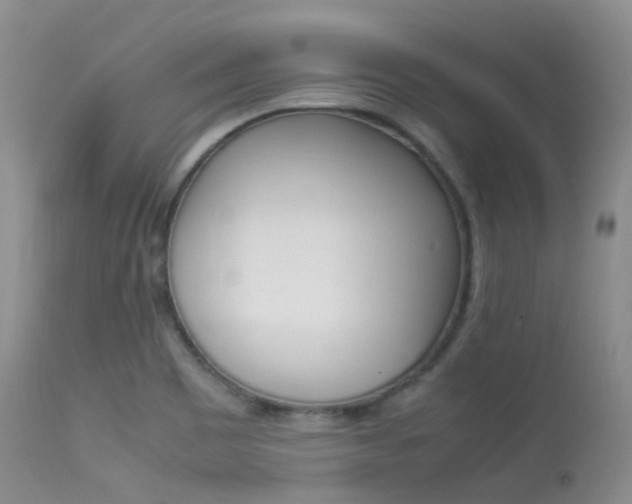 X0000113541465200909181012
