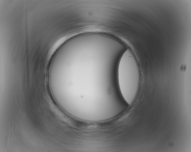 X0000113541467200909181012