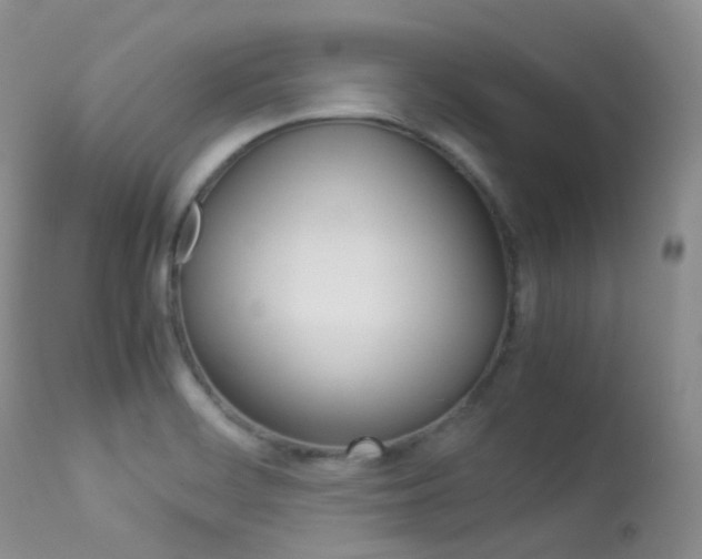 X0000113541468200909181012