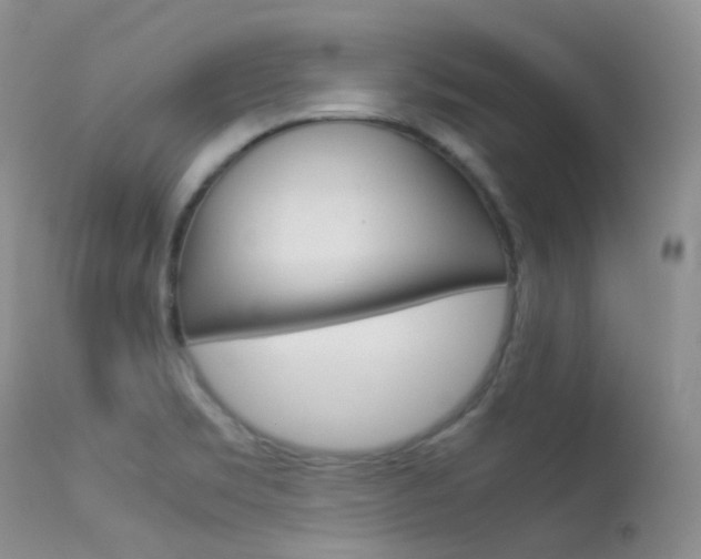 X0000113541469200909181012
