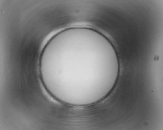 X0000113541470200909181012