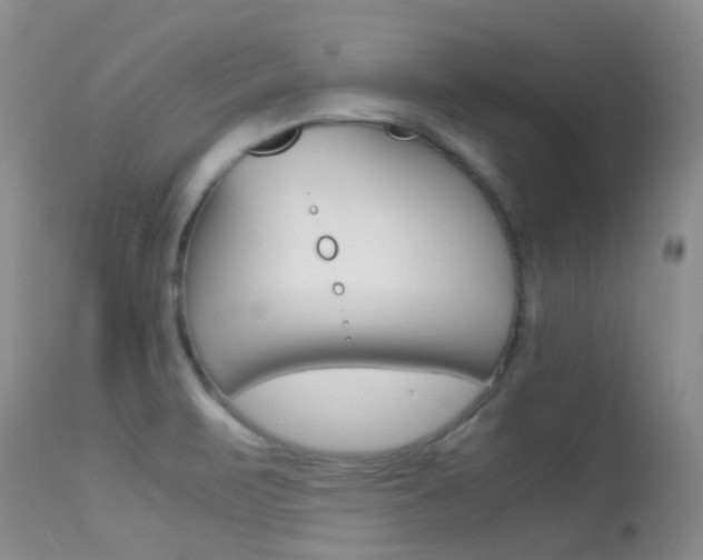 X0000113541471200909181012