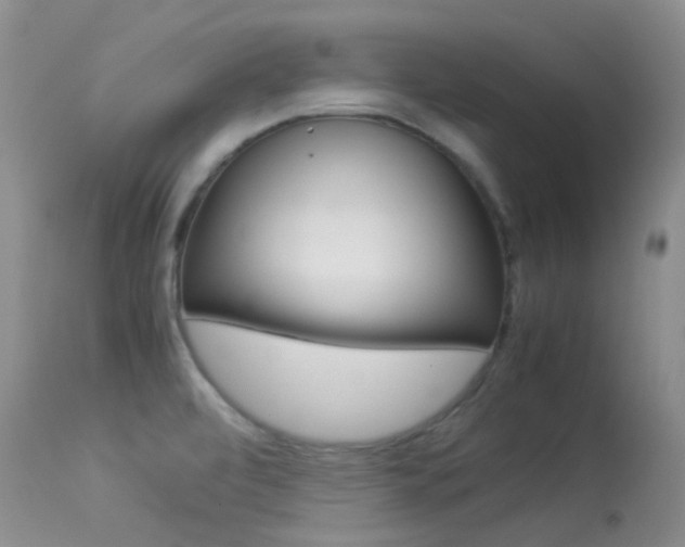 X0000113541472200909181012