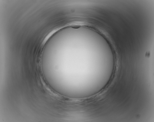 X0000113541473200909181012