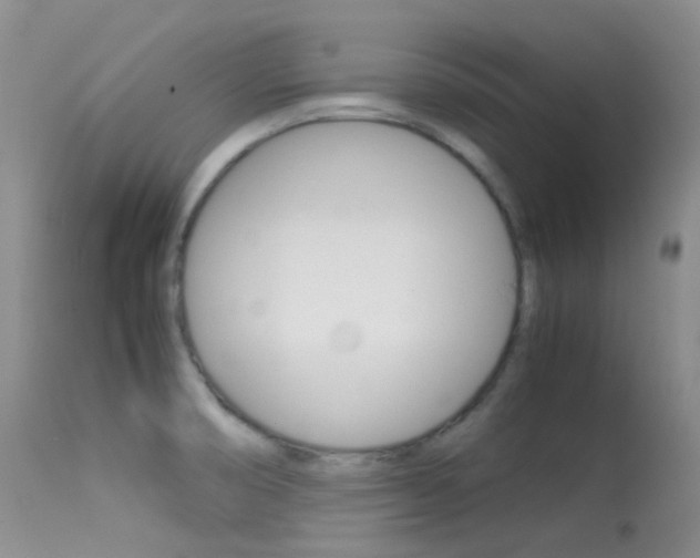 X0000113541474200909181012