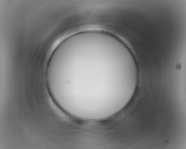 X0000113541475200909181011