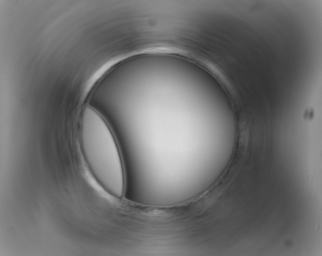 X0000113541476200909181011