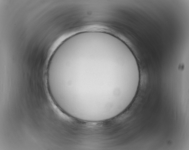 X0000113541478200909181011