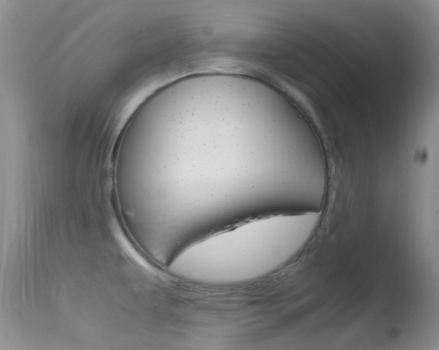 X0000113541479200909181011