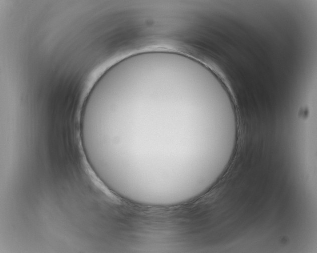 X0000113541480200909181011