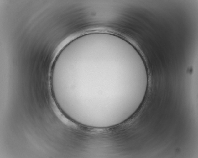 X0000113541482200909181011