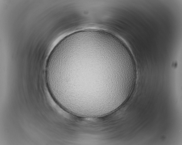 X0000113541483200909181011