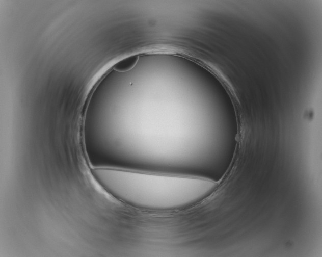 X0000113541484200909181011