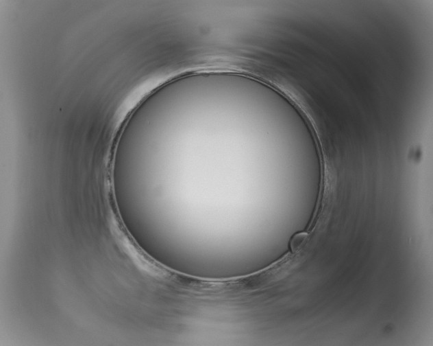 X0000113541485200909181011
