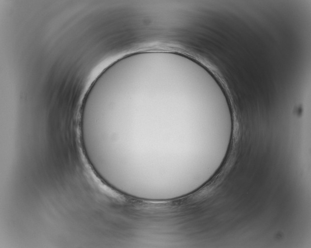 X0000113541486200909181011