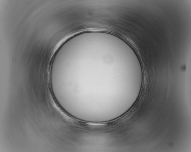 X0000113541487200909181011
