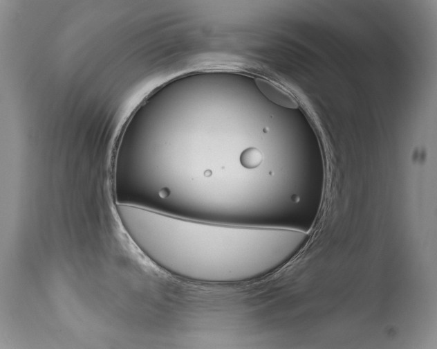 X0000113541488200909181011
