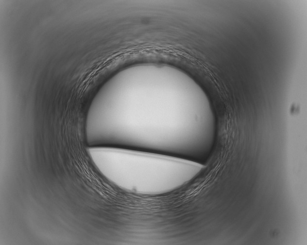 X0000113541490200909181011