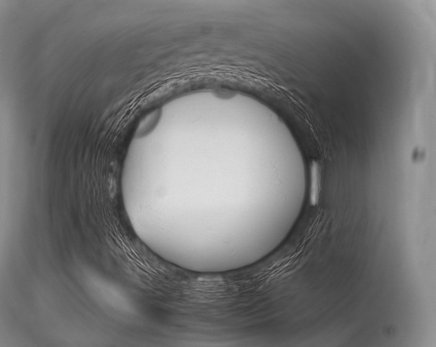 X0000113541491200909181011