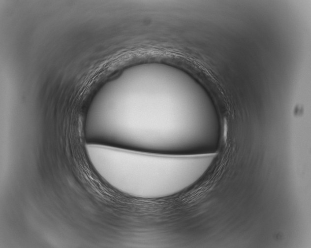 X0000113541492200909181011
