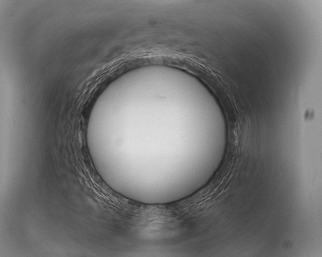X0000113541493200909181011