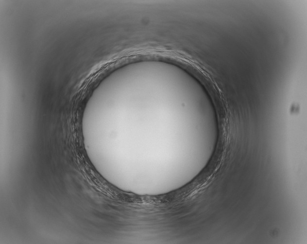 X0000113541494200909181011