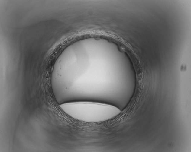 X0000113541495200909181011