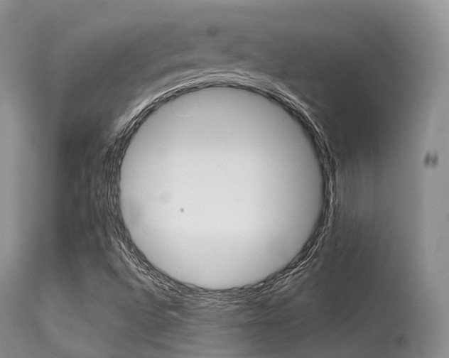 X0000113541496200909181011