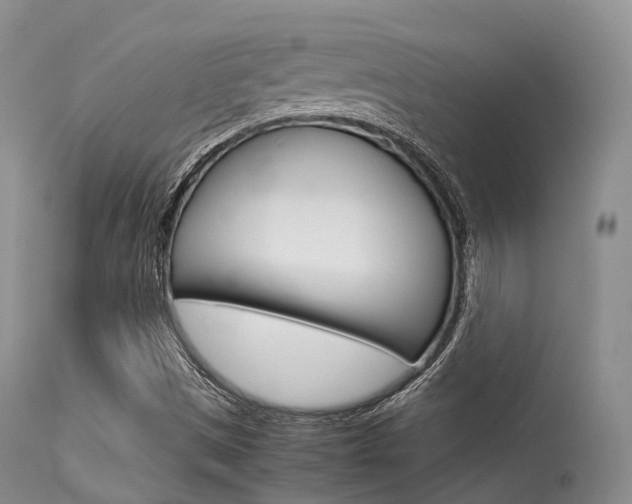 X0000113541497200909181011