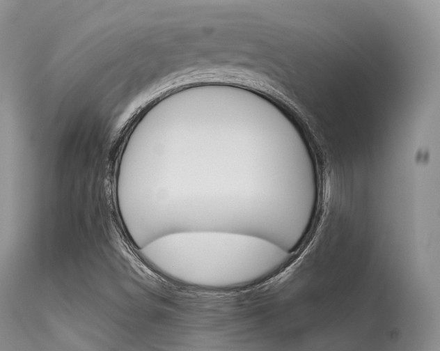 X0000113541498200909181011