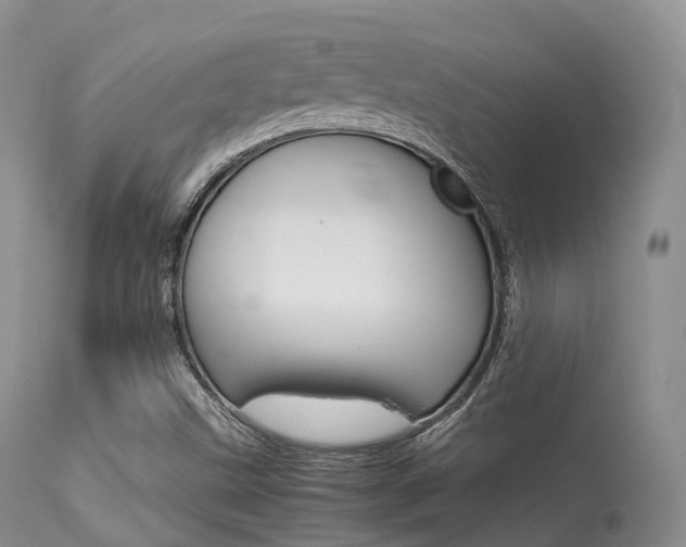 X0000113541499200909181011