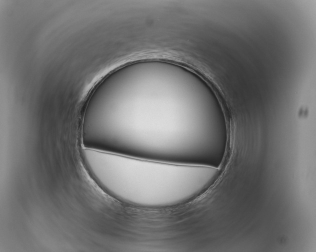 X0000113541500200909181011